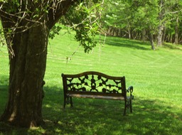 bench bon secouers