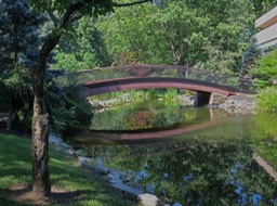 bon bridge1