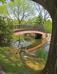 bon bridge2