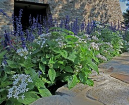 bon flowers2