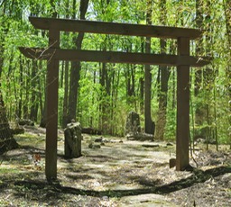 bon zen1
