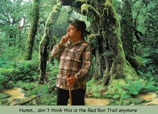 red run2.jpg