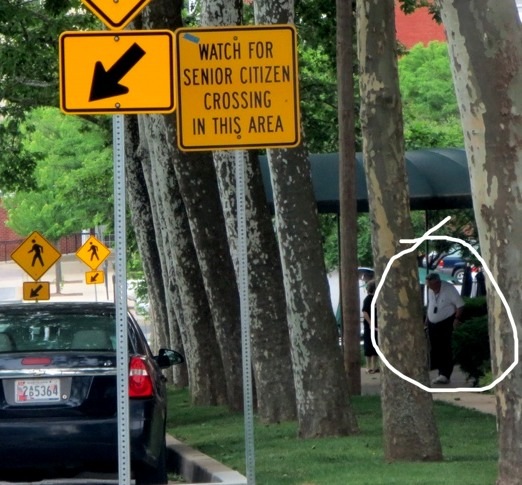 seniors xing web