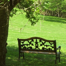 web bench2