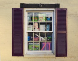 window purple shutters print